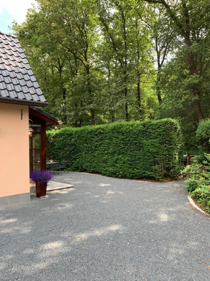 Romantisch 'het Vogelhuisje' Holiday home Lunteren